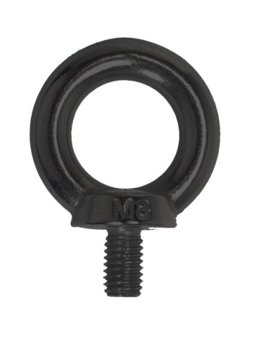 1 x Vite Anello Di Sollevamento M5X10 Acciaio...
