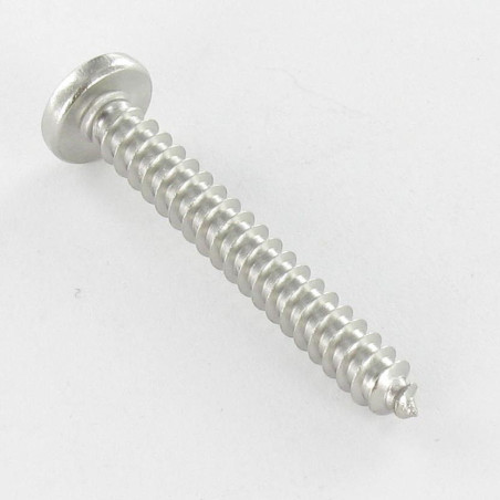 1 x Vite Per Lamiera testa bombata larga Pozy 2,9X13 Acciaio Inox A4