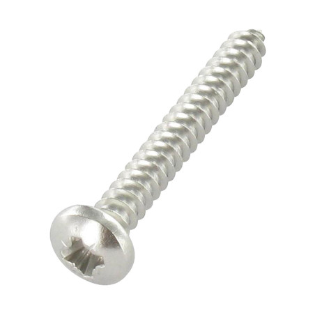 1 x Vite Per Lamiera testa bombata larga Pozy 3,9 x 9,5 Acciaio Inox A4