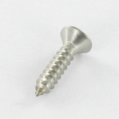 1 x Vite Per Lamiera Testa Forata Bombata Pozy 2,9X13 Acciaio Inox A4