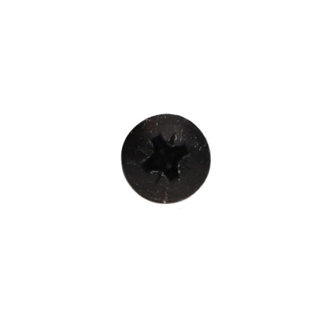 1 x Vite Per Legno E Truciolato Testa Poelier Pozi PZ5 5X60 Acciaio Zincato Nero
