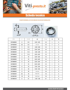Arandela de seguridad ARANLOCK 9X21X0.3 Acciaio Grezzo