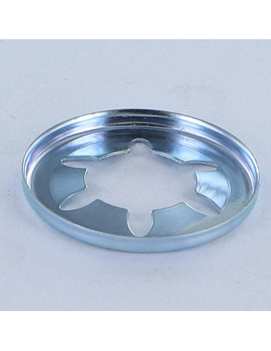 1 x Arandela de seguridad ARANLOCK 12 Zincate