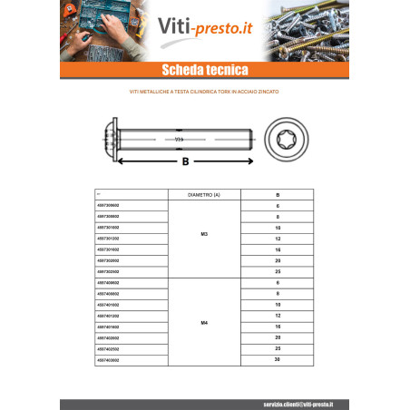 1 x Vite Per Metalli Testa Bombata Flangia T20 M4X10 Classe 10.9 Zincate