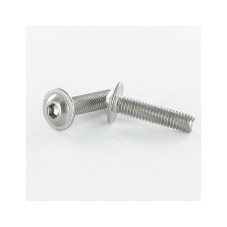 1 x Vite Per Metalli Testa Bombata Flangia T25 M5X35 Classe 10.9 Zincate
