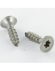 Vite Per Legno E Truciolato Acciaio Inox A2 Testa Forata...