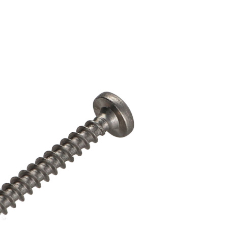 1 x Vite Per Legno E Truciolato Acciaio Inox A2 Testa Poelier Pozy 6X90 Discussione completa