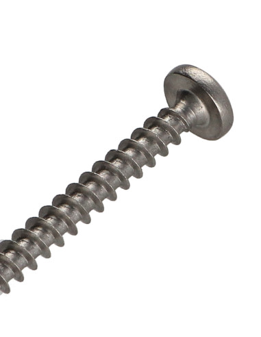 1 x Vite Per Legno E Truciolato Acciaio Inox A2...