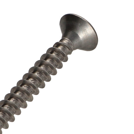 1 x Vite Per Legno E Truciolato Acciaio Inox A2 Testa Poelier Pozy 6X50