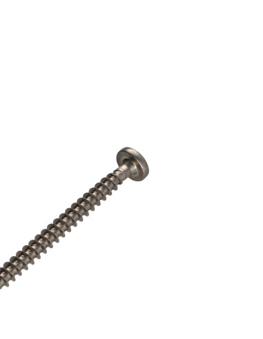 1 x Vite Per Legno E Truciolato Acciaio Inox A2...