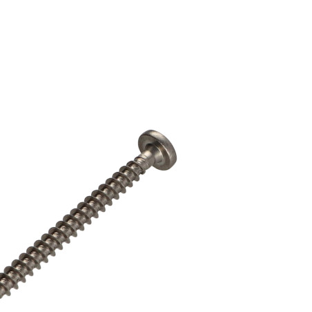 1 x Vite Per Legno E Truciolato Acciaio Inox A2 Testa Poelier Pozy 6X100