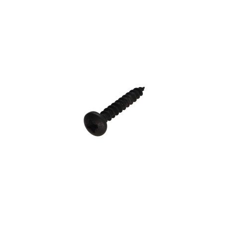 1 x Vite Per Legno E Truciolato Acciaio Inox A2 Nero Testa Poelier Pozy 4X25