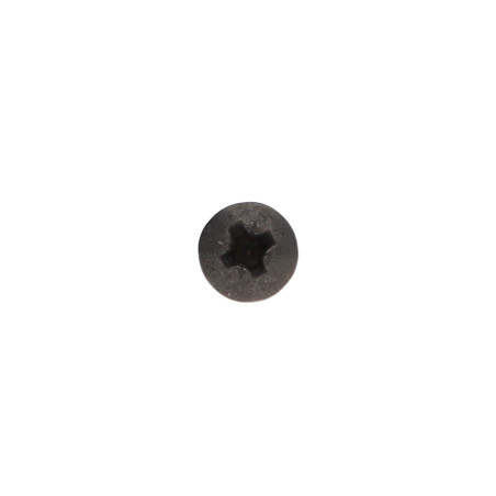 1 x Vite Per Legno E Truciolato Acciaio Inox A2 Nero Testa Poelier Pozy 4X25