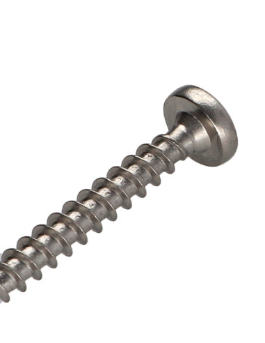 1 x Vite Per Legno E Truciolato Acciaio Inox A2...