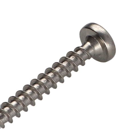 1 x Vite Per Legno E Truciolato Acciaio Inox A2 Testa Poelier Pozy 4,5X50
