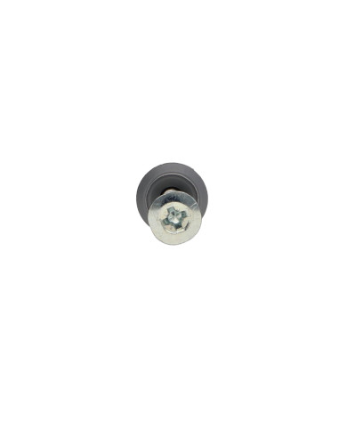 1 x Tassello Chiodo Vite RAWLPLUG Testa Piatta...