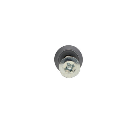 1 x Tassello Chiodo Vite RAWLPLUG Testa Piatta Large 6X40