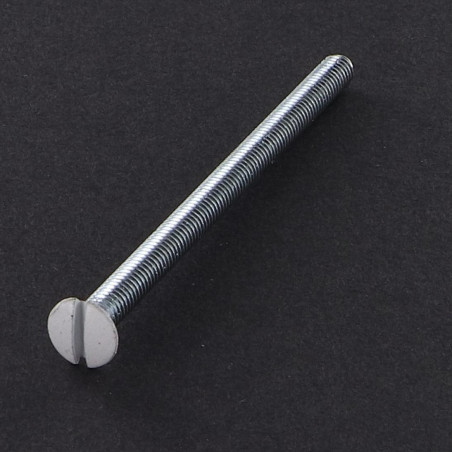 1 x Vite Per Metalli Testa Forata Bombata Con Intaglio M4X70 Zincate Testa Ral9016 Bianco Traffico