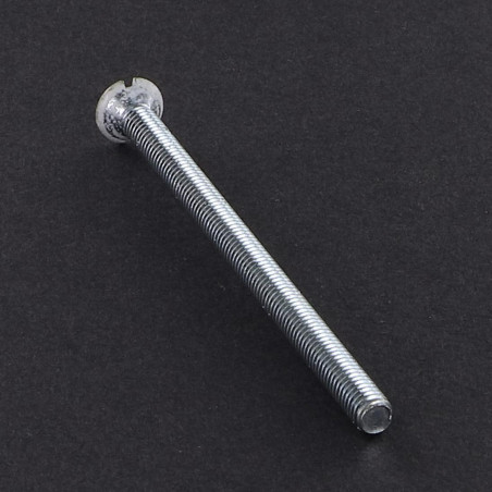 1 x Vite Per Metalli Testa Forata Bombata Con Intaglio M4X70 Zincate Testa Ral9016 Bianco Traffico