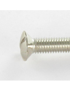 Vite Per Metalli Testa Forata Bombata Con Intaglio M5X35... 2