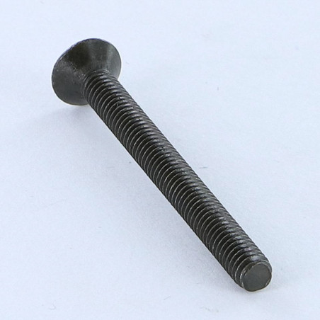 1 x Vite Per Metalli Testa Forata Bombata Con Intaglio M5X20 Acciaio Zincato Nero