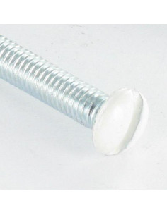 Vite Per Metalli Testa Forata Bombata Con Intaglio M4X55... 2