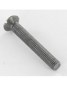 Vite Per Metalli Testa Forata Bombata Con Intaglio M4X70... 2