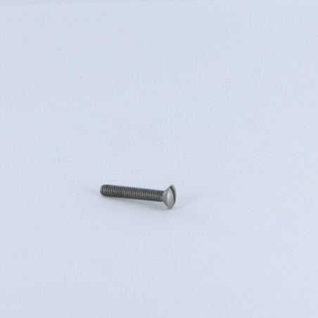 1 x Vite Per Metalli Testa Forata Bombata Con Intaglio M2X8 Acciaio Grezzo microviti