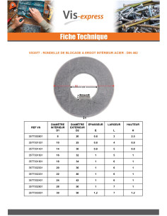 Rondella di bloccaggio con perno interno 45X68X1.2 Tipo F... 2