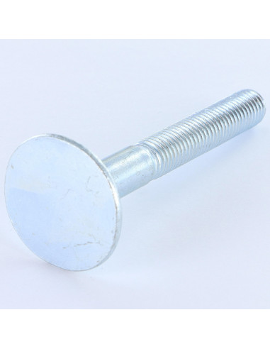 1 x Vite PAVIMENTO Testa Forata Large 10X80 4...