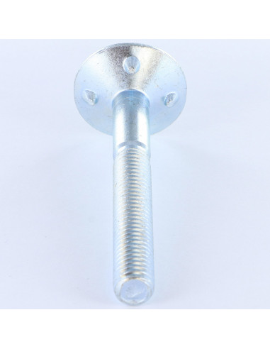1 x Vite PAVIMENTO Testa Forata Large 10X80 4...