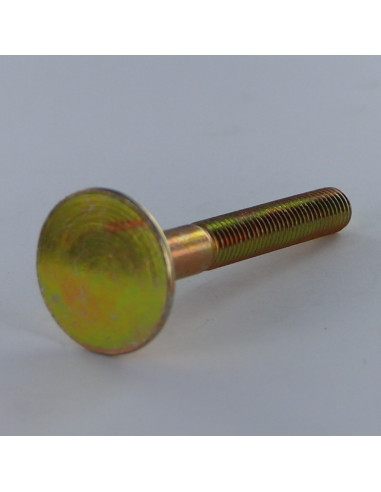 1 x Vite PAVIMENTO Testa Forata Large 10X80 4...