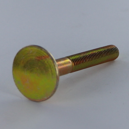 1 x Vite PAVIMENTO Testa Forata Large 10X80 4 Segale cornuta Bicromato