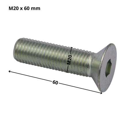 1 x Vite Per Metalli Testa Forata Con Esagono Incassato Chiave Esagonale Da 12 M20X60 Discussione completa Classe 10.9