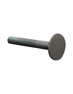 Vite PIANO Testa Forata LARGO 10X80 4ERGOTZG RAL7044