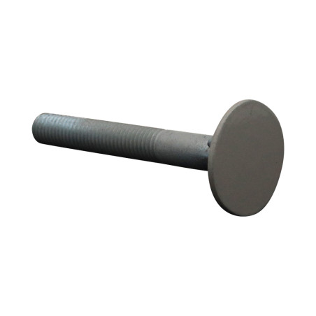 1 x Vite PIANO Testa Forata LARGO 10X80 4ERGOTZG RAL7044