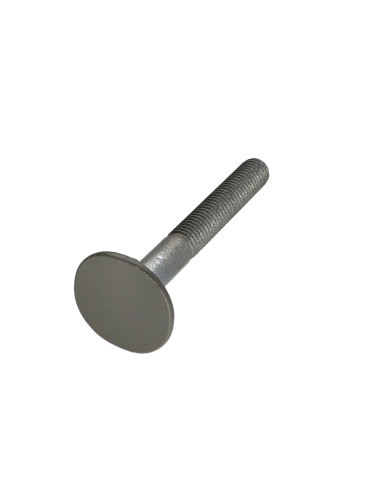 1 x Vite Testa Forata LARGO 4ERGOT10X80 RAL7023...