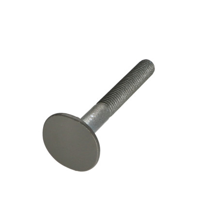 1 x Vite Testa Forata LARGO 4ERGOT10X80 RAL7023 30% BRILLANTE