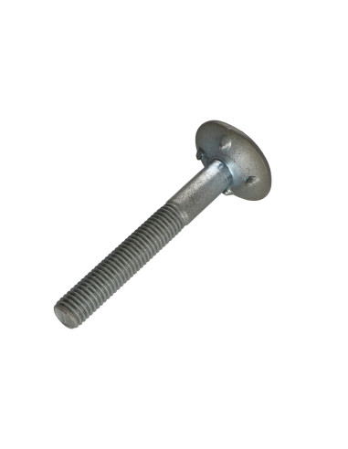 1 x Vite Testa Forata LARGO 4ERGOT10X80 RAL7023...