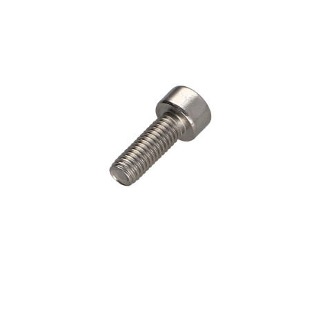 1 x Vite Per Metalli Testa Cilindrica T25 Acciaio Inox A2 M5X12 Discussione completa