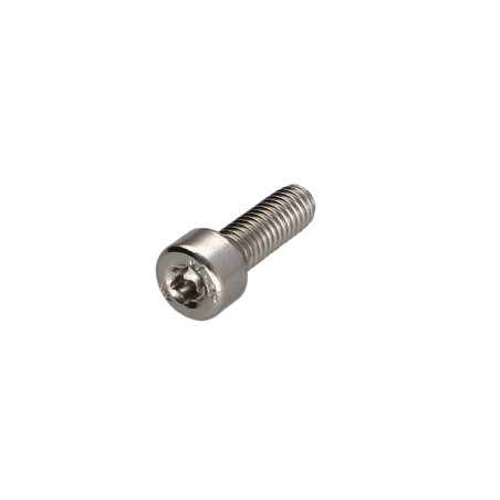 1 x Vite Per Metalli Testa Cilindrica T30 Acciaio Inox A2 M6X22 Discussione completa