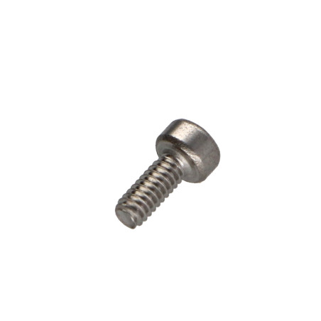 1 x Vite Per Metalli Testa Cilindrica T30 Acciaio Inox A2 M6X6 Discussione completa