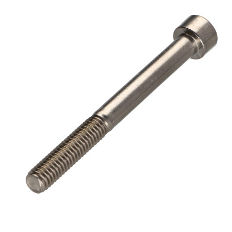 1 x Vite Per Metalli Testa Cilindrica T30 Acciaio Inox A2 M6X60 Filettata Su 24
