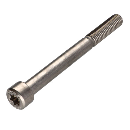 1 x Vite Per Metalli Testa Cilindrica T50 Acciaio Inox A2 M10X100 Filettata Su 32