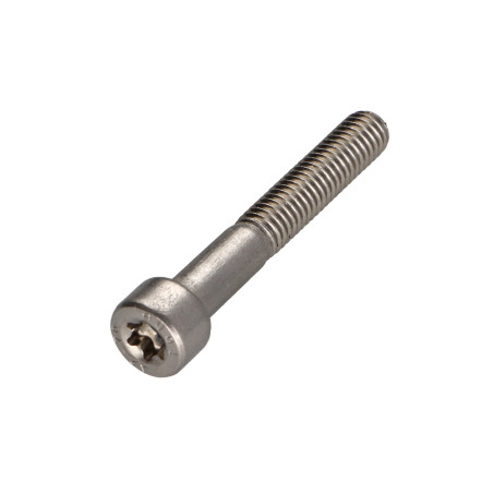 1 x Vite Per Metalli Testa Cilindrica T20 Acciaio Inox A2 M4X45 Filettata Su 20