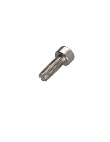 1 x Vite Per Metalli Testa Cilindrica T30...