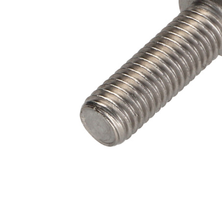 1 x Vite Per Metalli Testa Cilindrica T50 Acciaio Inox A2 M10X40 Discussione completa
