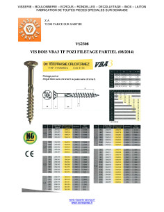 Vite Per Legno E Truciolato3 Testa Forata Pozy 6X60...
