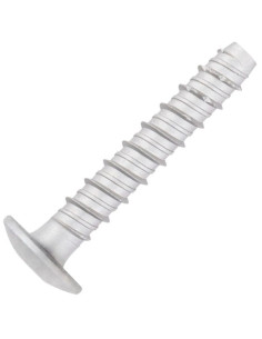 Vite Per Calcestruzzo Testa Bombata Torx T30 6X40 Zincate