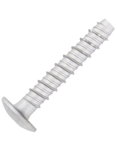1 x Vite Per Calcestruzzo Testa Bombata Torx...